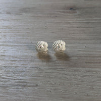 Small Clam Shell Stopper Stud Earring - Earring - Caribbijou Island Jewellery